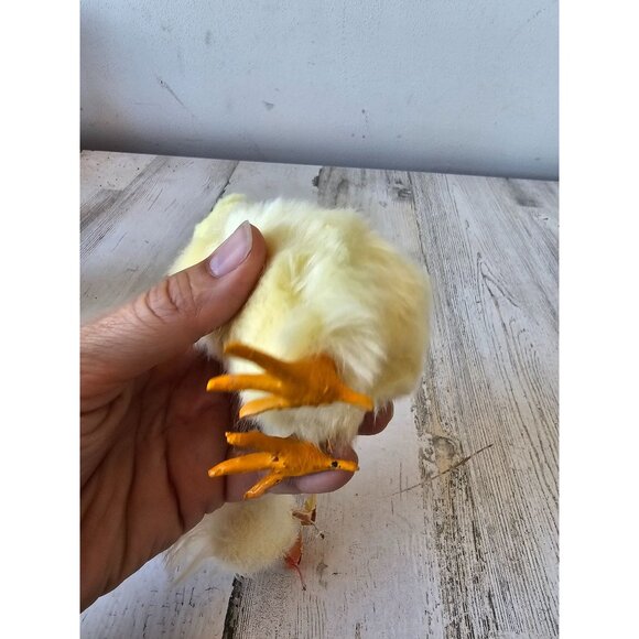 Vintage realistic chick chicken lifelike life-size - Picture 9 of 10